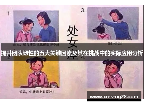 提升团队韧性的五大关键因素及其在挑战中的实际应用分析