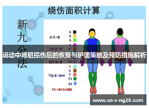 运动中肾脏损伤后的恢复与护理策略及预防措施解析