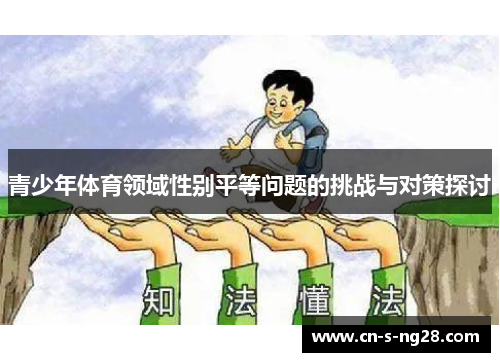 青少年体育领域性别平等问题的挑战与对策探讨