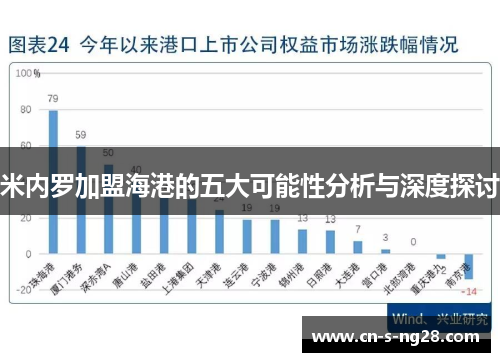 米内罗加盟海港的五大可能性分析与深度探讨 米内罗加盟海港的五大可能性分析与深度探讨